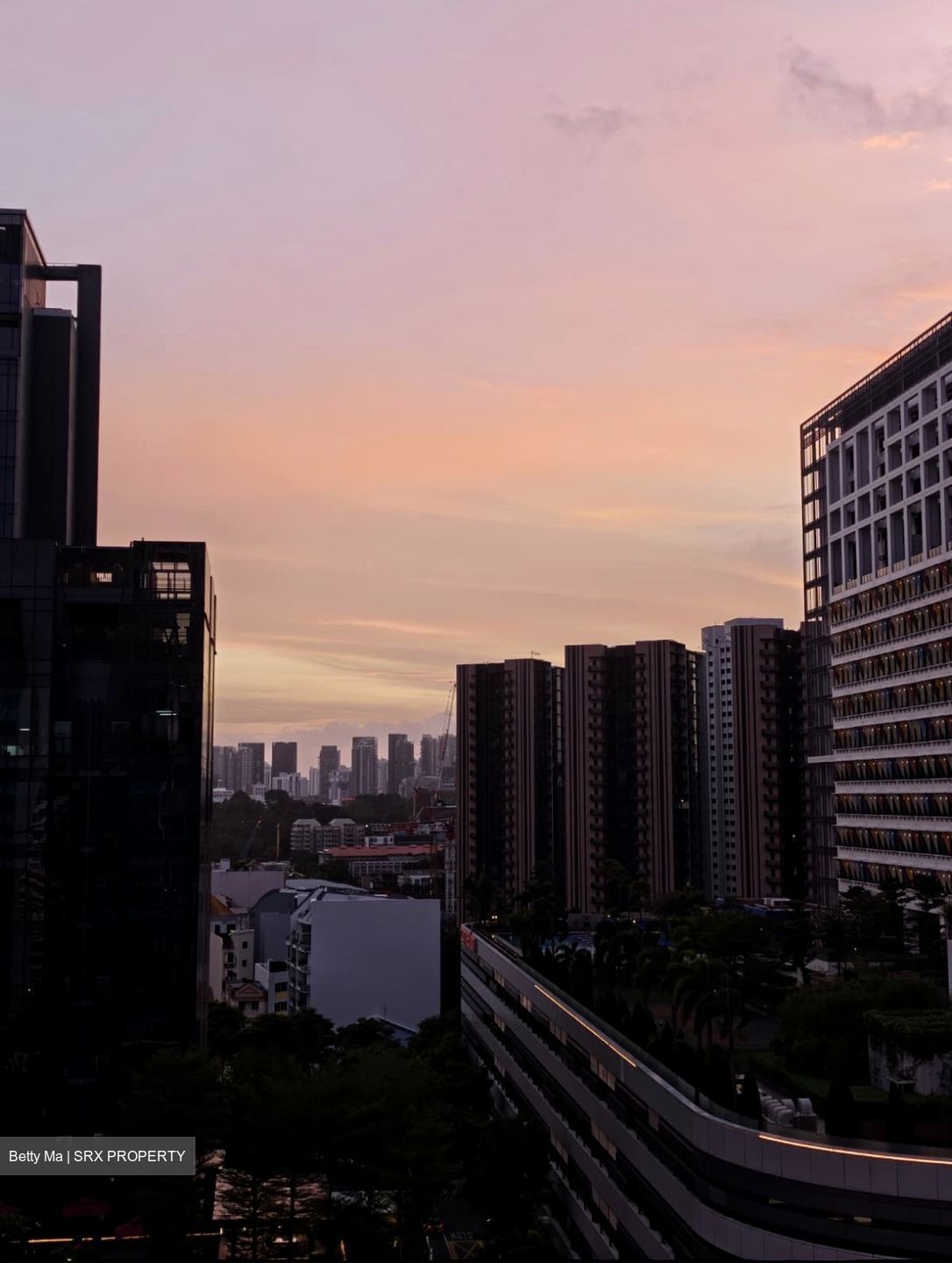 Uptown @ Farrer (D8), Apartment #560237011